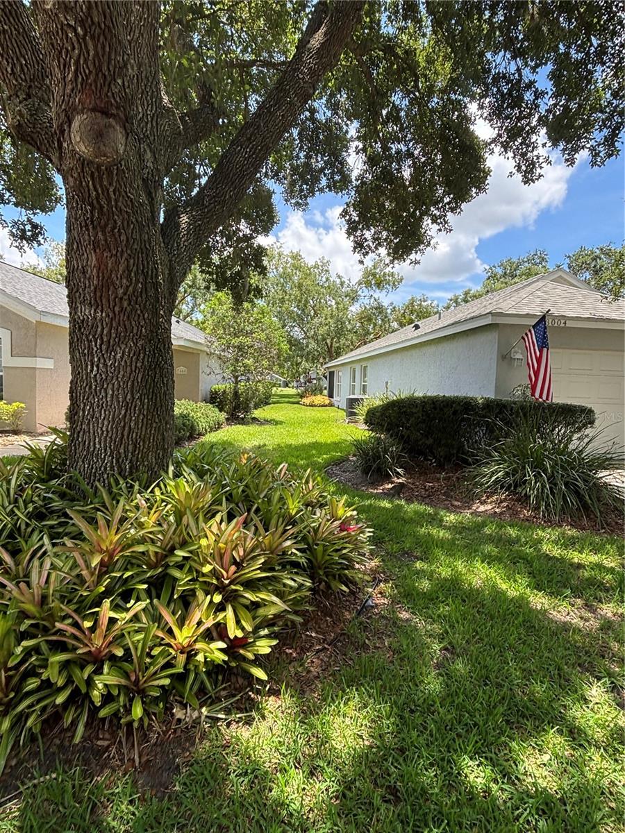 MOUNT DORA COUNTRY CLUB MOUNT DORA PH 02-1 - Residential Lease