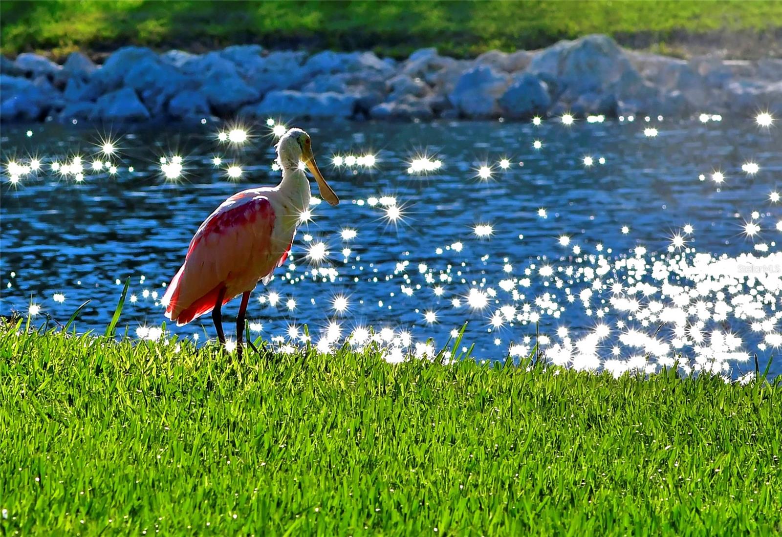 MOUNT VERNON PH 3 - Residential