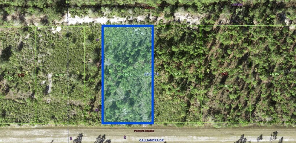 Photo of 1024 Calliandra Drive, Indian Lake Estates, FL 33855 (MLS # P4937417)
