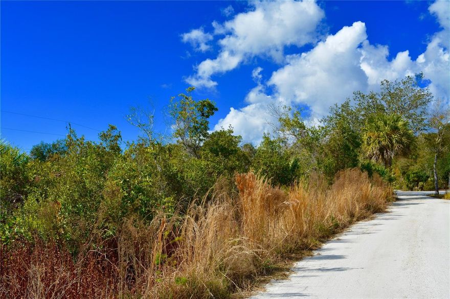 Situated at 27195 Lowry Avenue, Punta Gorda, FL 33983, build your Southwest Florida dream home on this private vacant parcel located in the desirable Harbor Heights community. Situated on a quiet street and surrounded by attractive new construction, this homesite offers both peaceful surroundings and exciting growth potential.  With no HOA and no deed restrictions, you have the flexibility to build when you’re ready. Conveniently located just minutes from I-75, shopping, dining, golf, and medical facilities. Enjoy easy access to Harbor Heights Park’s public boat ramp with entry to the Peace River and out to Charlotte Harbor, perfect for boating and fishing enthusiasts.  Secure your piece of Punta Gorda while the area continues to grow and new homes rise all around. An ideal opportunity for a primary residence, seasonal retreat, or investment build. Homes nearby have septic tanks and public water. INFORMATION IS DEEMED RELIABLE BUT NOT GUARANTEED…TO BE VERIFIED BY THE BUYER AND/OR BUYER'S AGENT, INCLUDING UTILITIES.