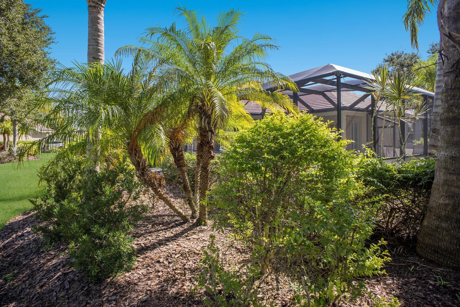 GREYHAWK LANDING PH 3 - Residential