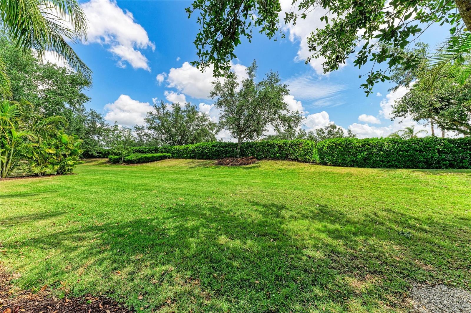 CENTRAL PARK SUBPHASE E-1B - Residential