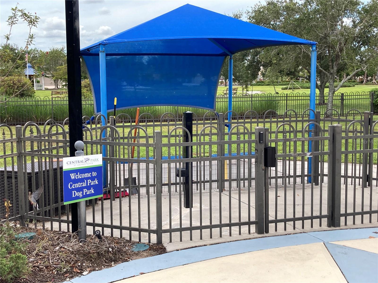 CENTRAL PARK SUBPHASE E-1B - Residential