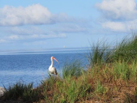 A home in TARPON SPRINGS