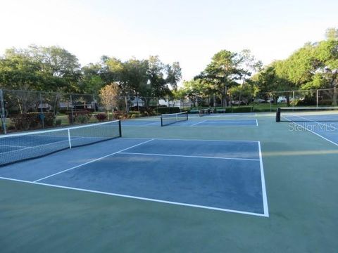 A home in TARPON SPRINGS