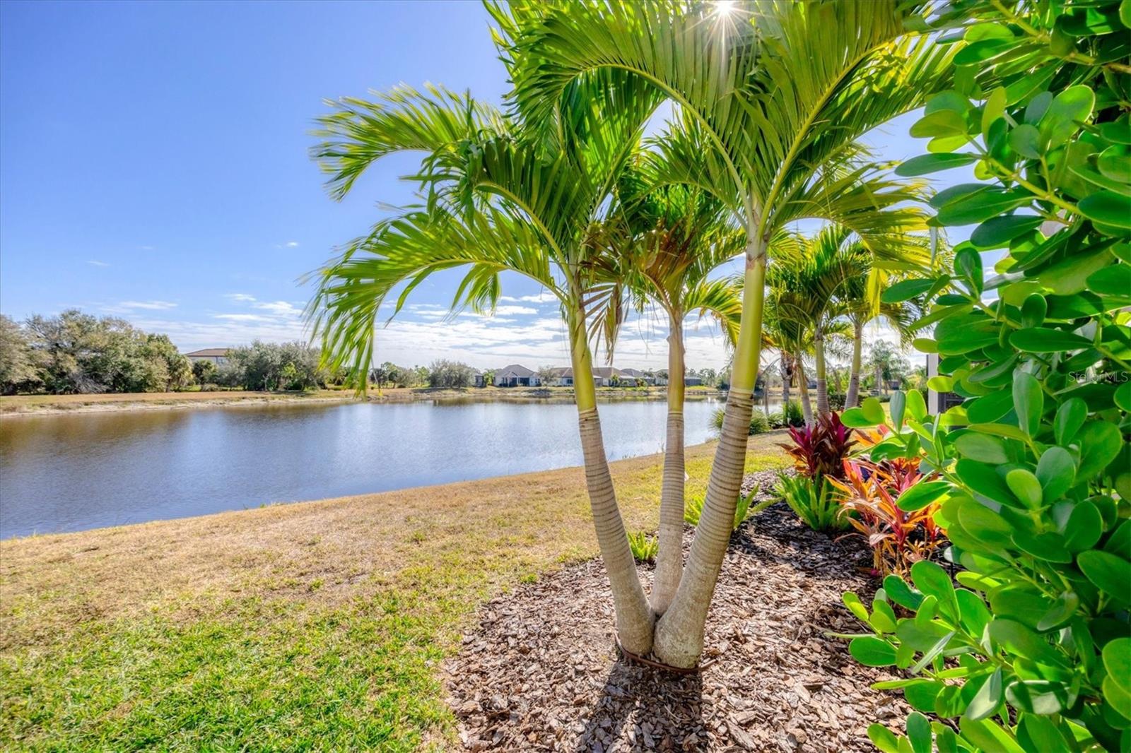 GRAND PALM PH 3A C - Residential