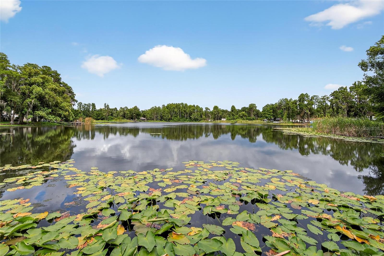 LAKE SHARON ESTATES - Residential