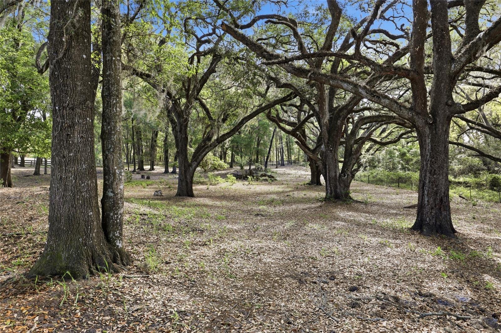 HAMMOCK RIDGE UNIT 3-F - Residential