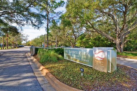 A home in TAMPA