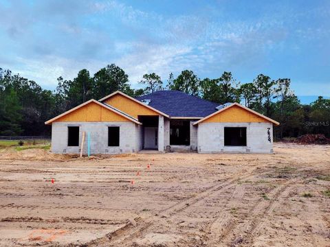 Photo of 7869 SW 125th Court Road, Dunnellon, FL 34432 (MLS # OM709129)