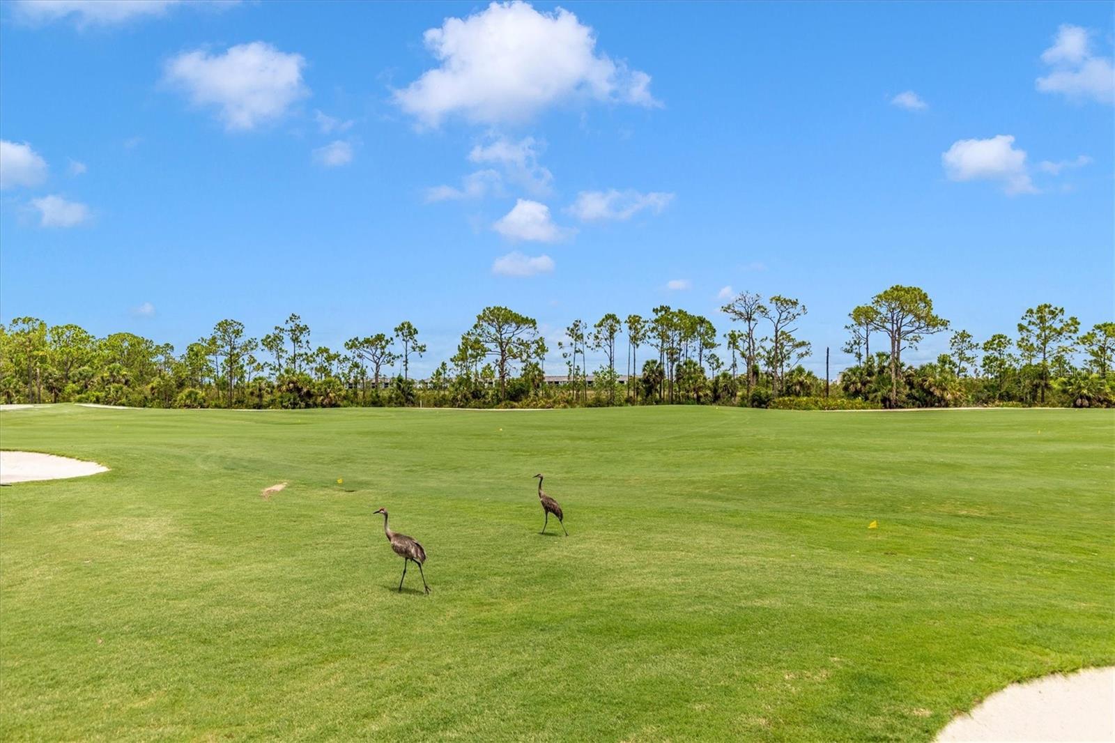 WELLEN PARK GOLF & COUNTRY CLUB - Residential Lease