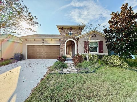 6414 SALT CREEK AVENUE APOLLO BEACH FL 33572
