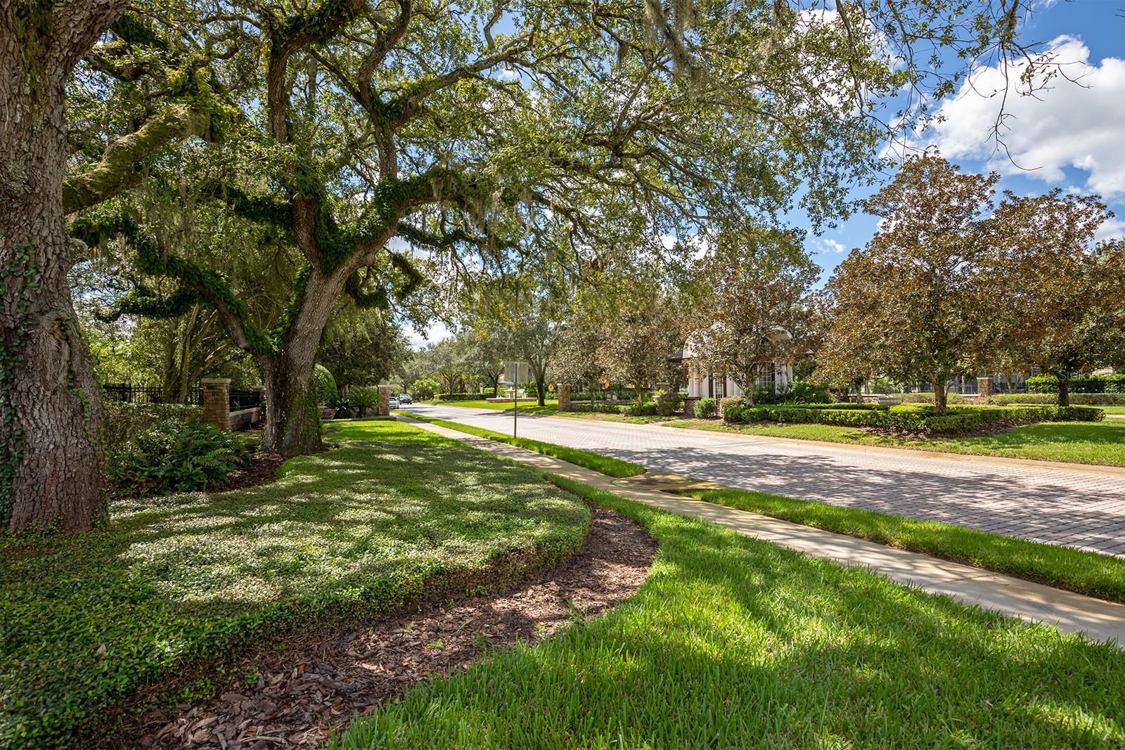 LIVE OAK RESERVE UNIT TWO - Residential