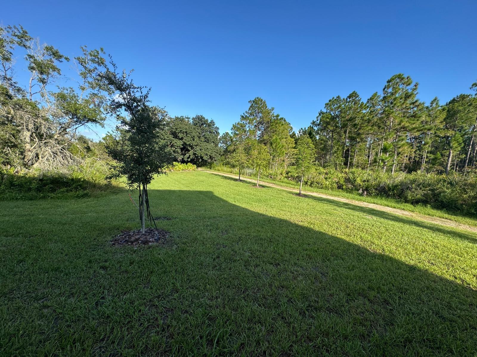 THE MEADOW AT CROSSPRAIRIE TOWNES - Residential Lease