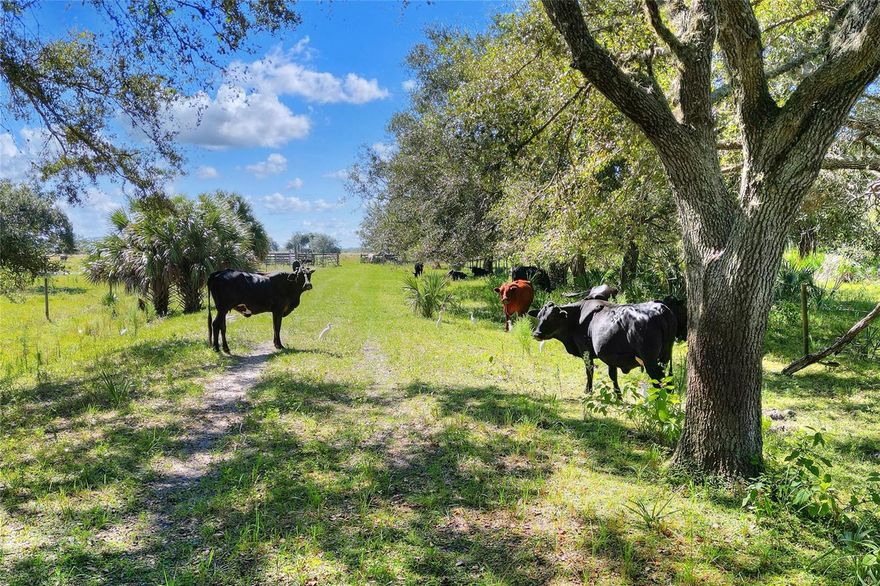Secluded 80± acres surrounded by large private landowners, allowing for privacy, serenity, and untouched game. This property would make an ideal weekend recreational retreat for agricultural, residential or hunting uses; it is fully perimeter fenced and electricity was previously run to the property to service a well pump and small building. This site is predominately upland, with 3 small watering holes for livestock.  Just 35± miles to Fort Myers and 70± miles to Naples, this property offers a remote aspect, while still within close proximity to many cities on the Gulf Coast.