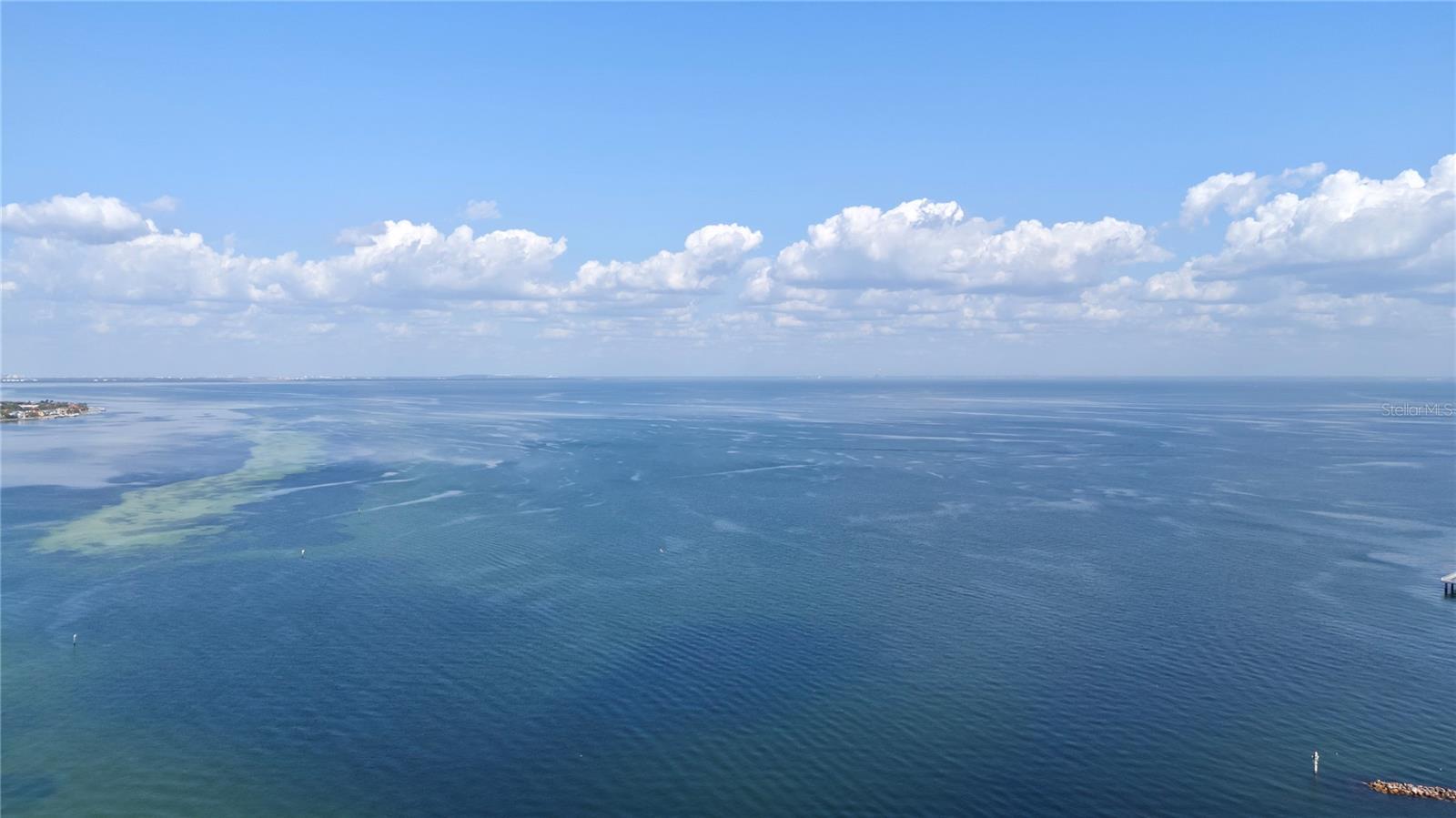 PARKSHORE PLAZA CONDO - Residential Lease