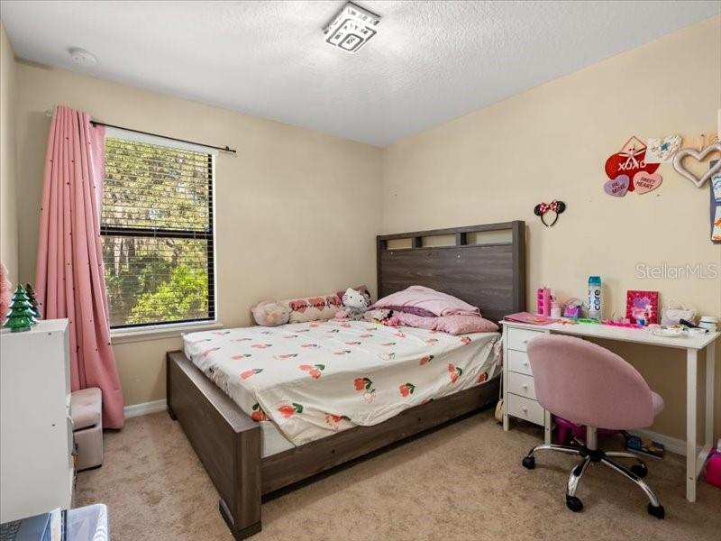 HANOVER POINTE REP - REP - Residential