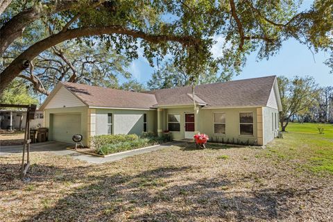 10320 BUMBLEBEE LANE LEESBURG FL 34788