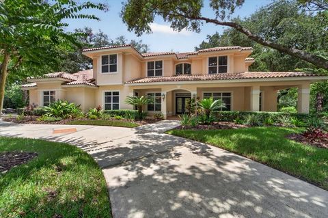Photo of 15707 Cochester Road, Tampa, FL 33647 (MLS # TB8528618)