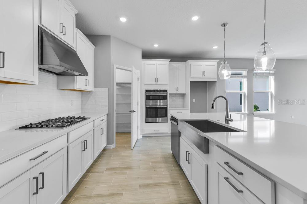 CASSIA AT SKYE RANCH - Residential