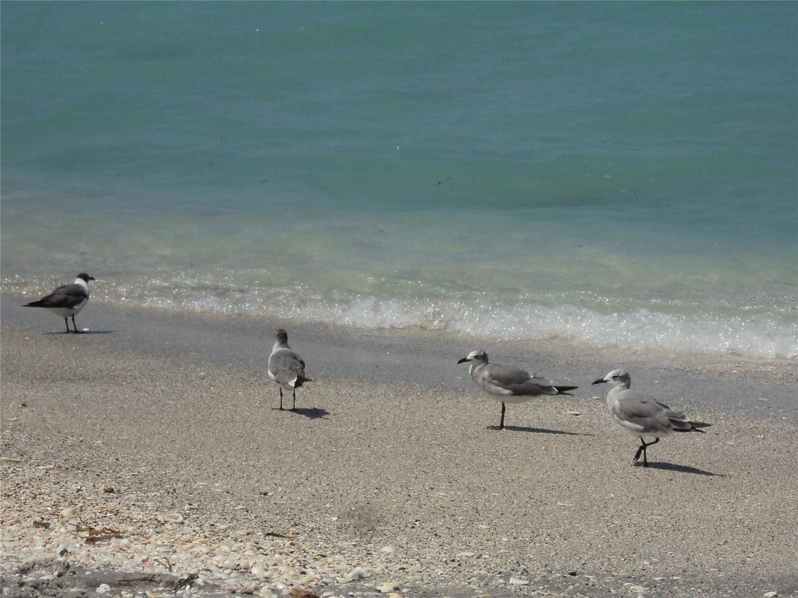 PORT CHARLOTTE SEC 078 - Land