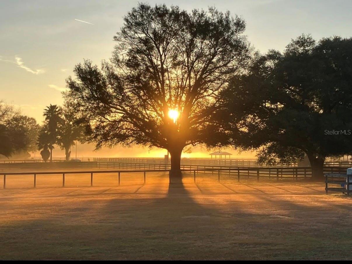 FOXBOROUGH FARMS - Residential