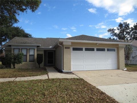 A home in ORLANDO