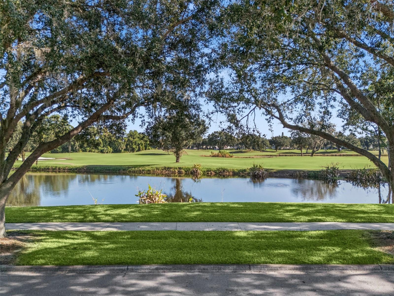 SIENA AT CELEBR CONDO C - Residential