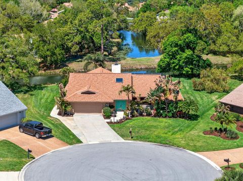 Photo of 4964 Candlebush Circle, Sarasota, FL 34241 (MLS # A4687461)