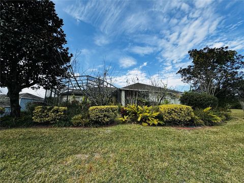 A home in MOUNT DORA