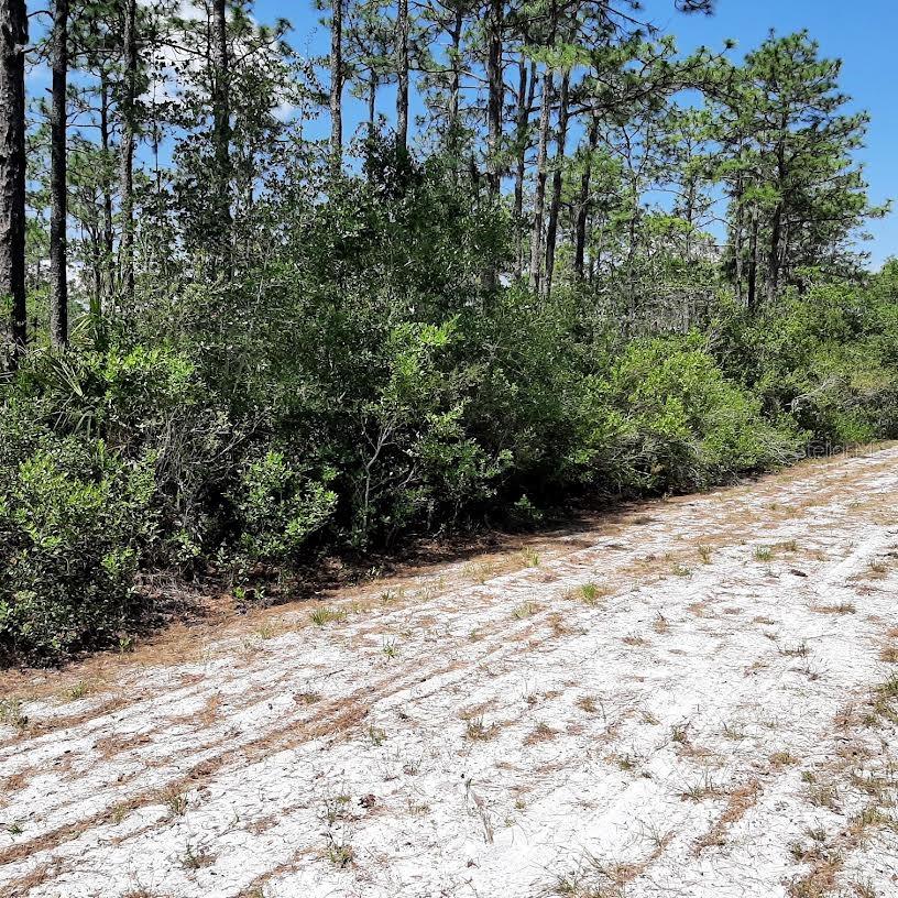 INDIAN LAKE ESTATES - Land