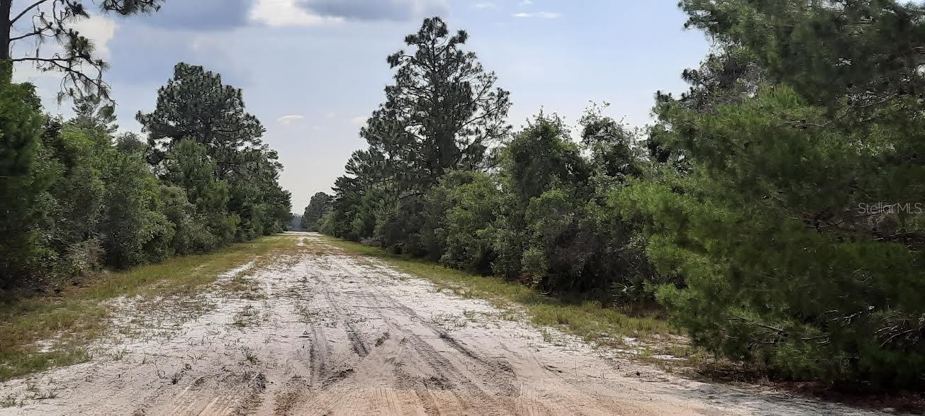 INDIAN LAKE ESTATES - Land
