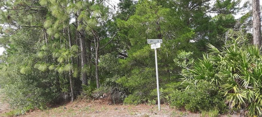 Come build your forever home on this one-half acre lot that located in the lake community of Indian Lake Estates, a golfing, fishing and boating community in the center of Florida. Indian Lake Estates is about 20 miles east of Lake Wales. The community surrounds the 7,500 acre lake locally known as Lake Walk In Water, nationally known for its fishing and considered to be one of the best bass fishing lakes in all Florida. The lake has a beach, boat ramp, boat marina and the longest freshwater Fishing pier in the State of Florida. The pavilion is located at the front of the pier and is complete with propane grills and covered picnic tables. The community amenities include an 18-hole golf course, basketball and tennis courts, 23, 000 sq.ft. clubhouse, cafe, post office, churches, library, fitness room and pro shop. If you love nature and the peace and quiet of the country you're in luck. Wildlife is plentiful! You will see deer, raccoon, turkey, turtles, cranes and various species of birds that call Indian Lake Estates their home. Orlando and Disney is only about an hour's drive north and Tampa, Busch Gardens, and the Gulf's pristine beaches only a little over an hour west. Historic Bok Tower, a National Landmark, is in nearby Lake Wales. The Westgate River Ranch Resort and Rodeo is just six miles away. An authentic Florida dude ranch and full-service resort offering guests the opportunity to experience "Old Florida." Encompassing 1,700 beautiful acres, Westgate River Ranch features horseback riding, wildlife airboat and swamp buggy rides, Saturday night championship rodeo, trap/skeet range, nature hikes, petting farm, marina, Adventure Park with zip line and rock climbing wall, Westgate Smokehouse Grill and River Ranch Saloon and much more. Cowboy-themed accommodations range from ranch-themed lodge guestrooms and deluxe lodge suites to spacious cottages, two-bedroom cabins, Glamping and Luxe Teepees. Come out and see how great life can be at Indian Lake Estates! Polk County's best kept secret!