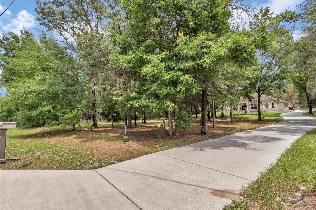 Photo of 18241 SW 65th Loop, Dunnellon, FL 34432 (MLS # O6342424)