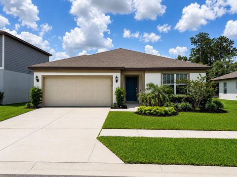 Photo of 30596 Thunderbird Drive, Wesley Chapel, FL 33545 (MLS # W7885979)