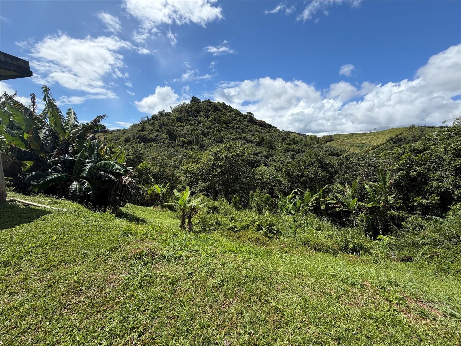 CARR 723 KM 2.3 INT, BO. ASOMANTE