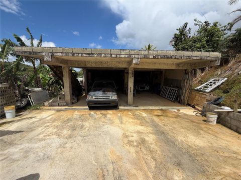 CARR 723 KM 2.3 INT, BO. ASOMANTE AIBONITO  00705