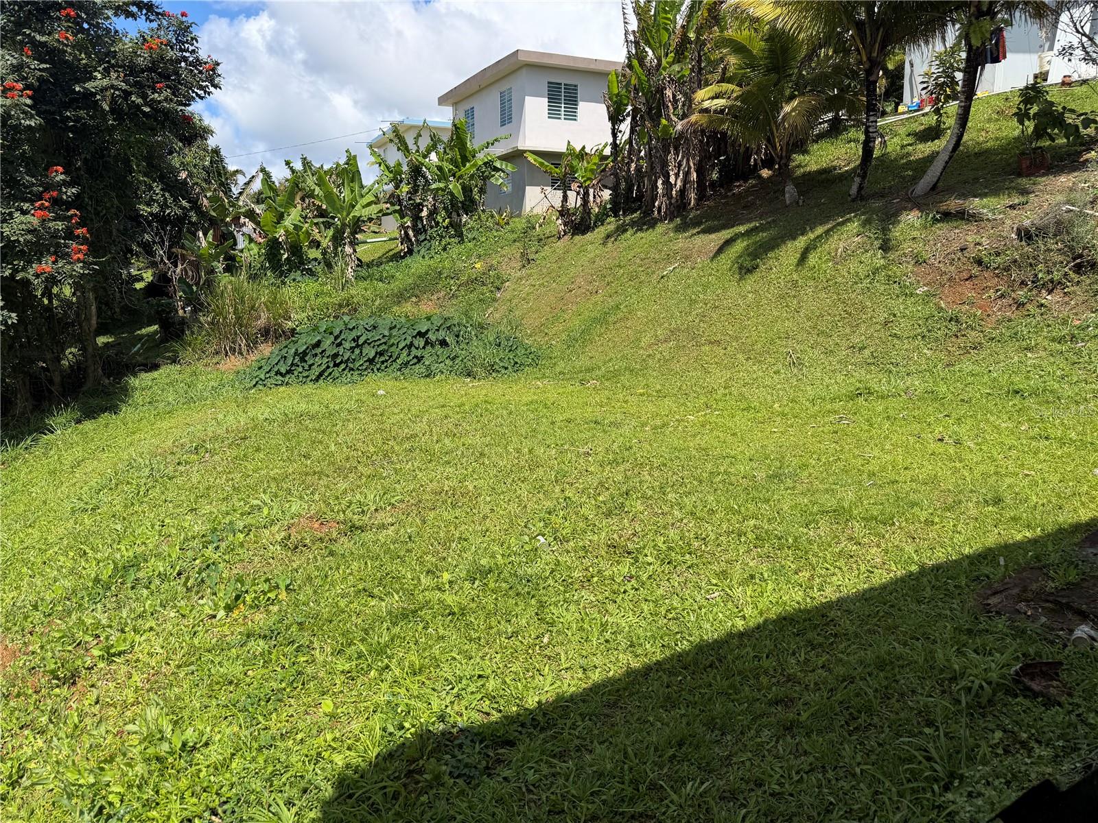 CARR 723 KM 2.3 INT, BO. ASOMANTE