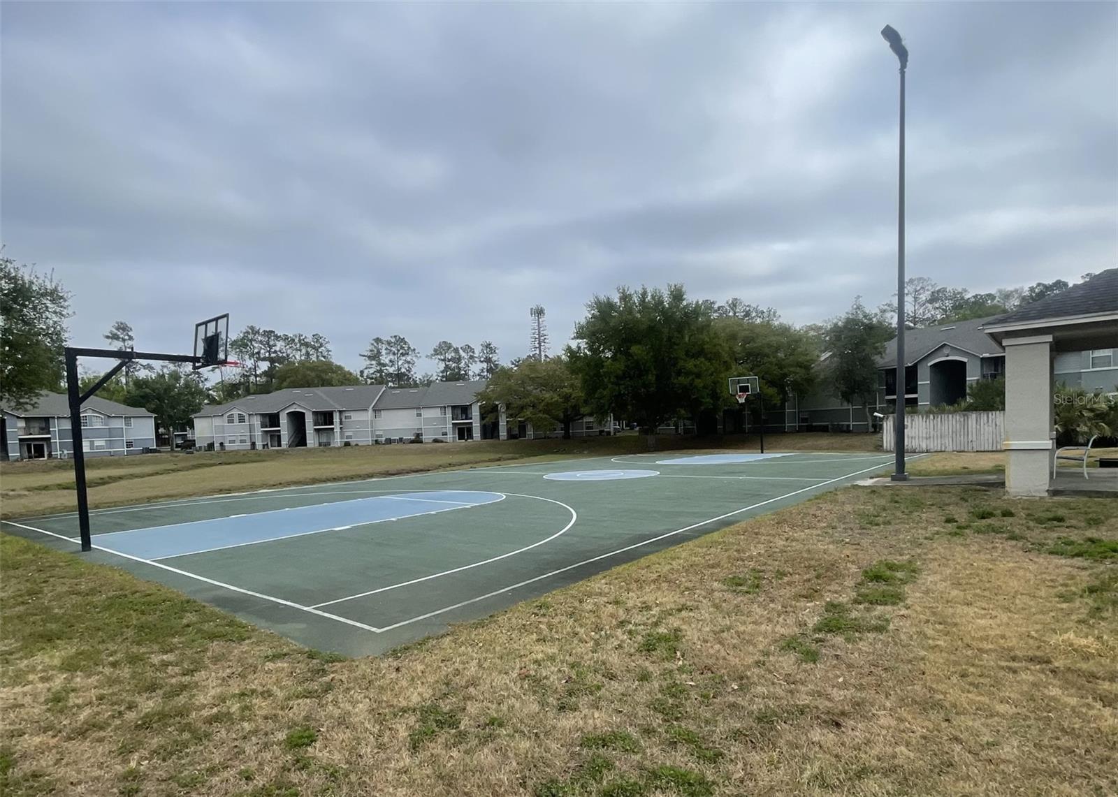 WINDSOR PARK AT GAINESVIL - Residential