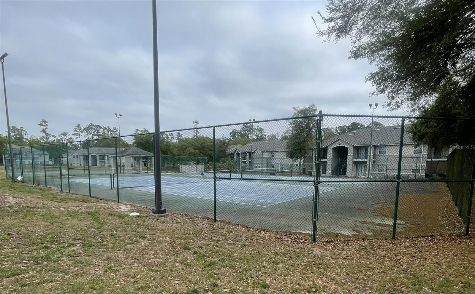 WINDSOR PARK AT GAINESVIL - Residential