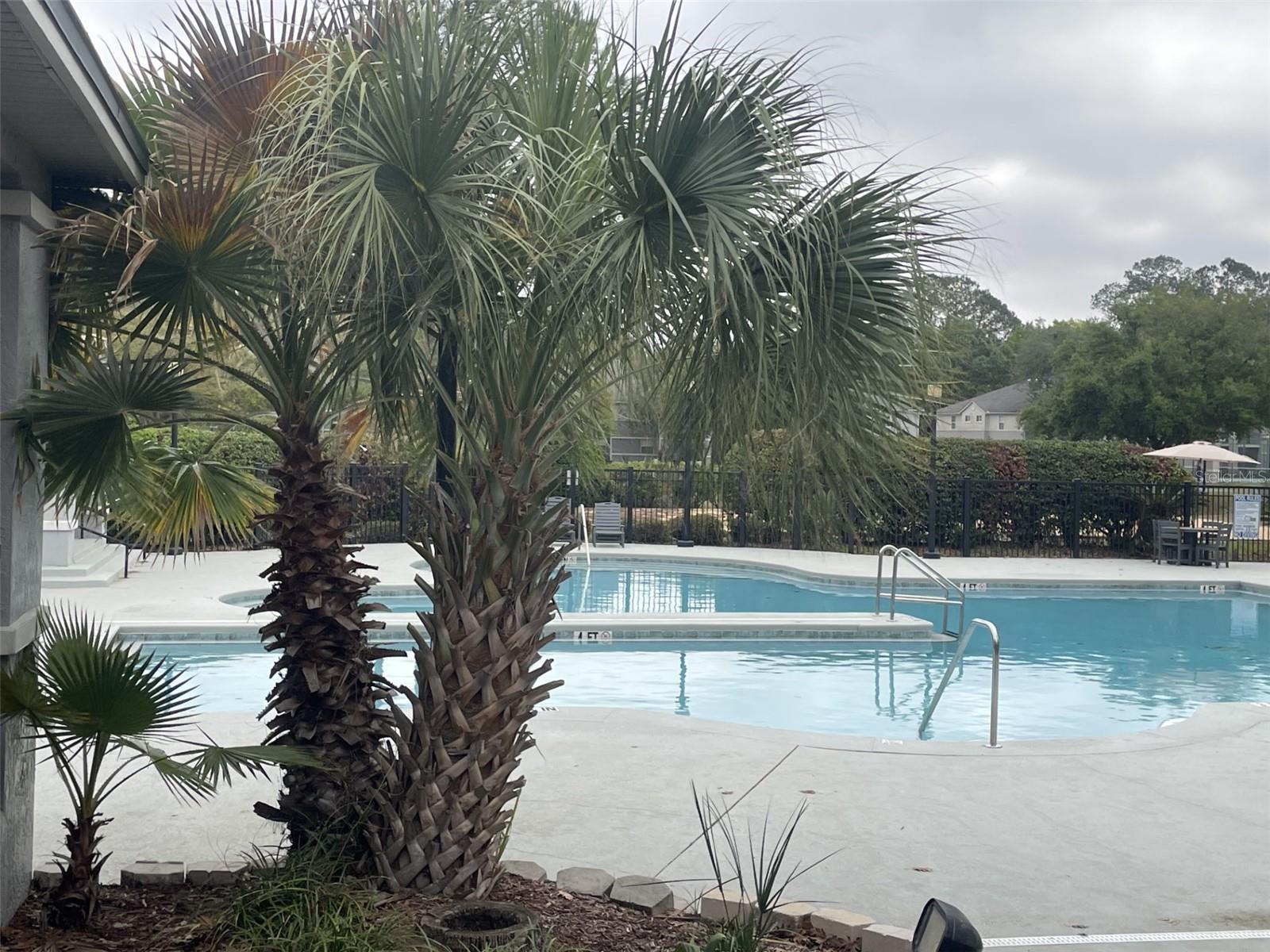 WINDSOR PARK AT GAINESVIL - Residential