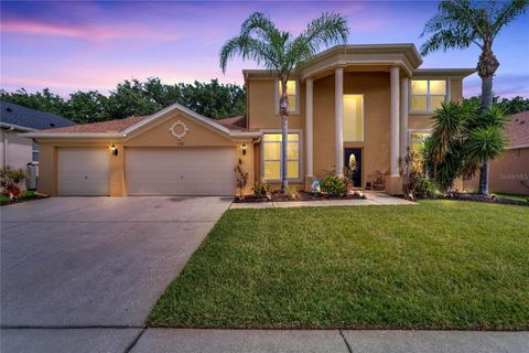 A home in VALRICO