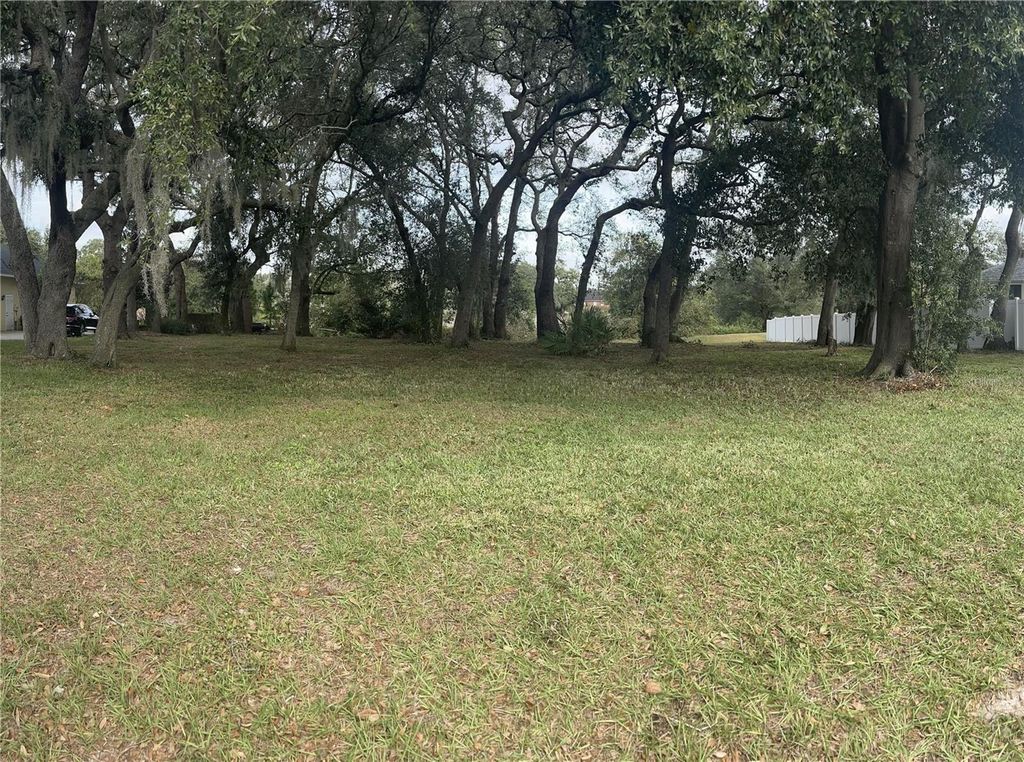 Photo of 5142 Lake Deeson Woods Court, Lakeland, FL 33805 (MLS # L4954403)