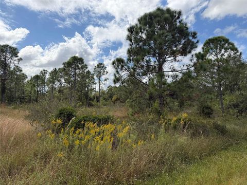 Photo of 27409 Mandalay Drive, Punta Gorda, FL 33955 (MLS # C7516816) Photo of 27409 Mandalay Drive, Punta Gorda, FL 33955 (MLS # C7516816)