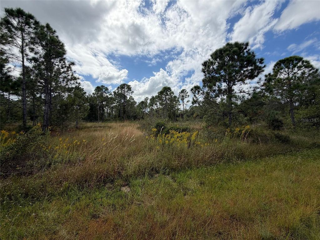 Photo of 27409 Mandalay Drive, Punta Gorda, FL 33955 (MLS # C7516816)