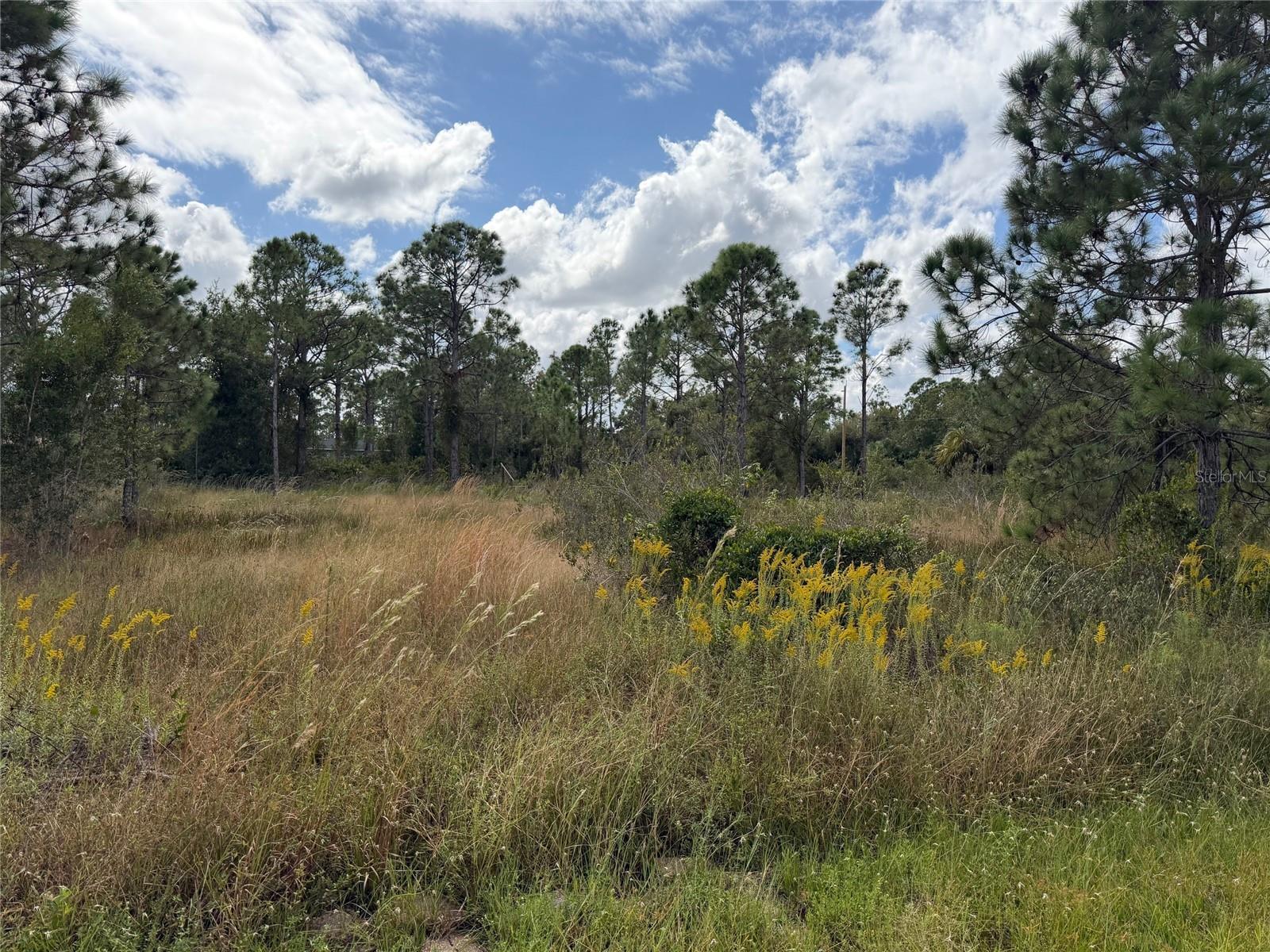 27409 MANDALAY DRIVE