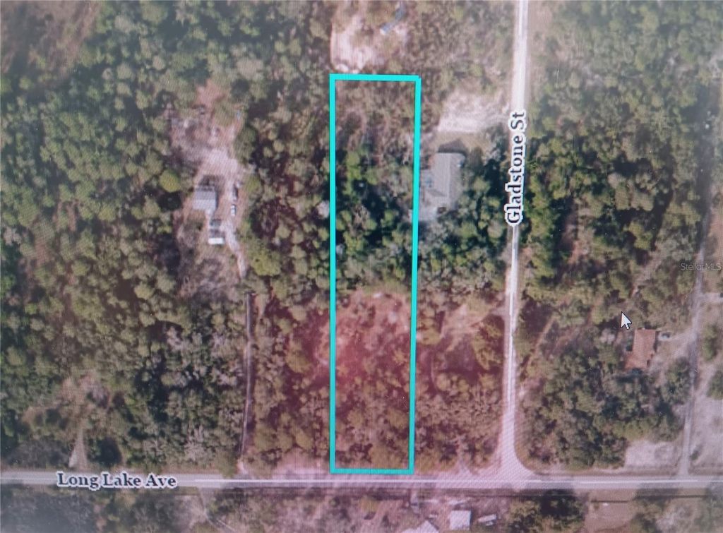 Photo of 9167 Long Lake Avenue, Weeki Wachee, FL 34613 (MLS # U8251398)