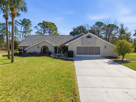 Photo of 3050 Stephanie Drive, Spring Hill, FL 34608 (MLS # W7883285)