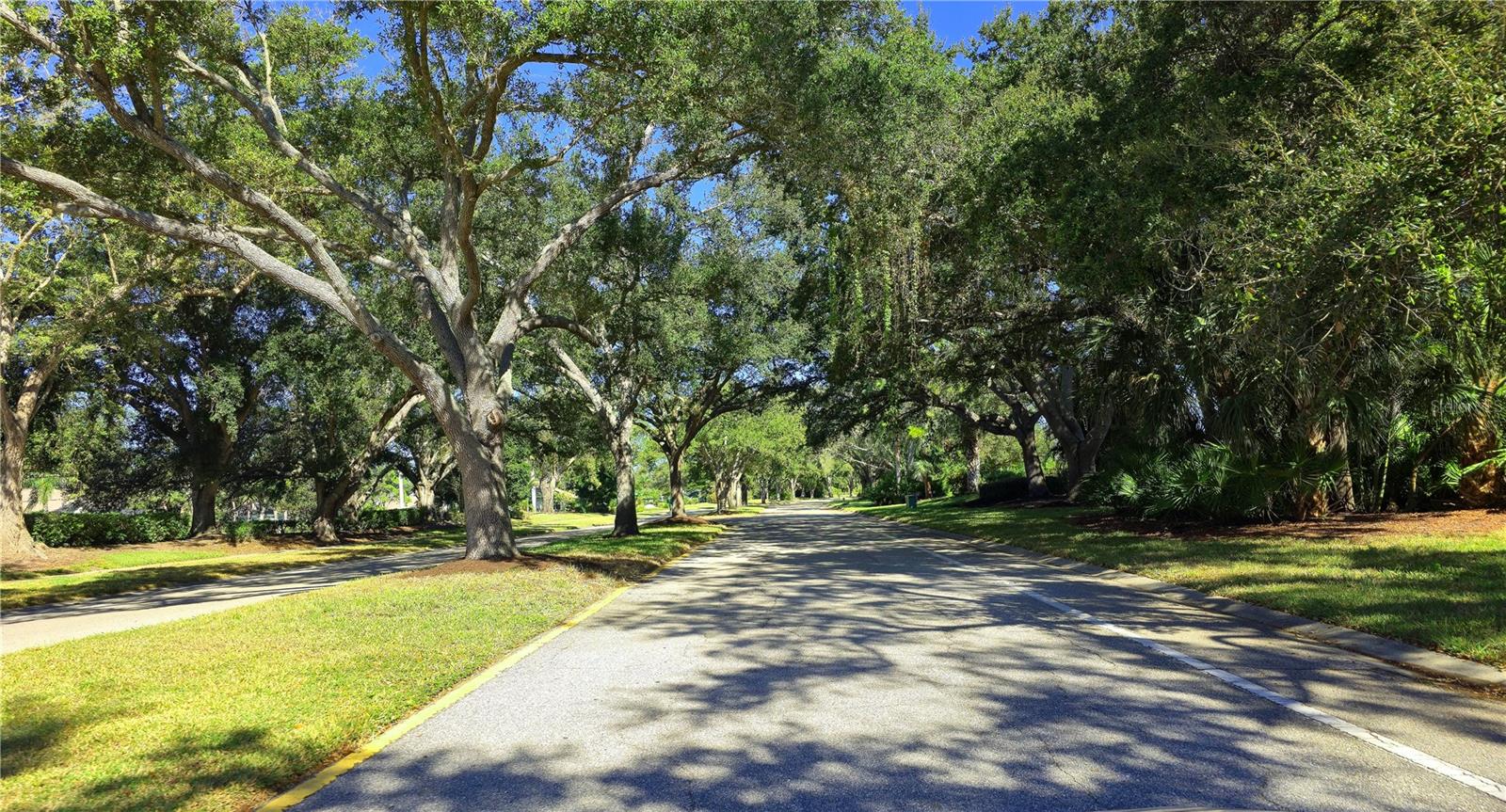 CHESTNUT CREEK PATIO HOMES - Residential