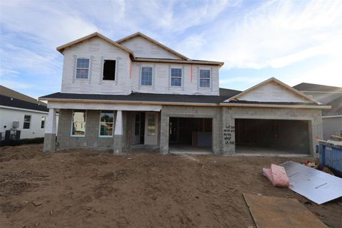 Photo of 3233 Wolf Lake Avenue, Apopka, FL 32712 (MLS # O6352882)